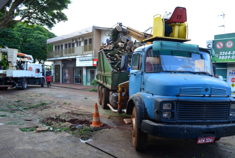 Meio Ambiente Realiza Corte de Árvores 
